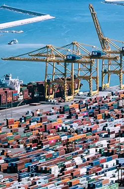 Таможня и экспорт