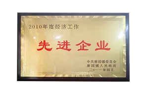 Передовое предпринимательство в экономической работе в 2010 году