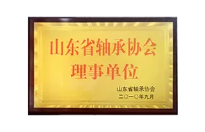 Директор Ассоциации подшипников Шаньдуна