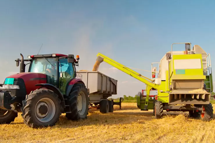 Сельское хозяйство